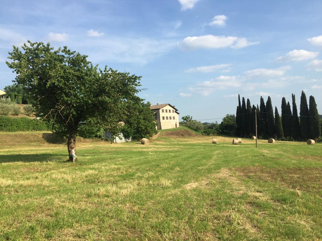 Casale Al Solivo B&B Castion Veronese Exteriör bild